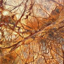 Мраморная столешница Tessoro Bidasar Brown