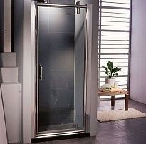 Душевая дверь в нишу Appollo TS-0509P R